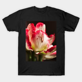 Parrot Tulip T-Shirt